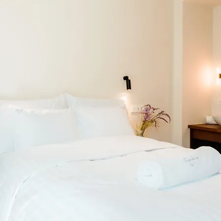 The Librarian By Domani Ghent