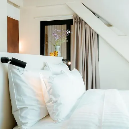 The Librarian By Domani 3*