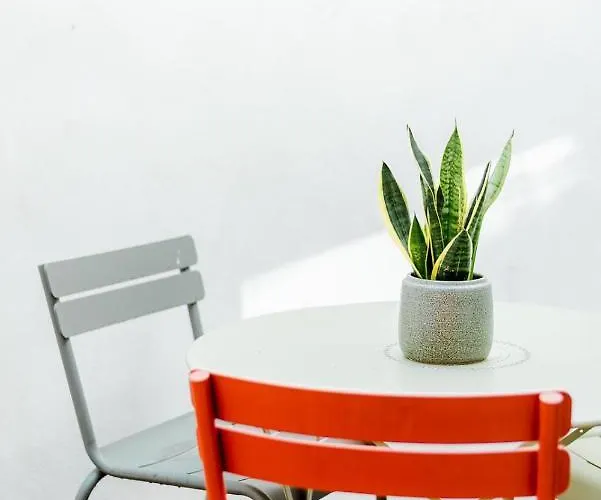 The Librarian By Domani Hotel 3*