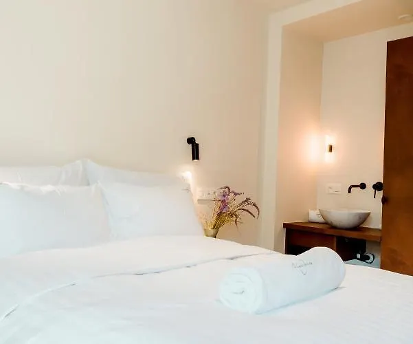 The Librarian By Domani Γάνδη