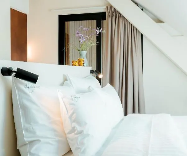 The Librarian By Domani 3*