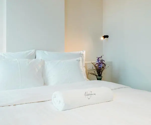 The Librarian By Domani Hotel 3*