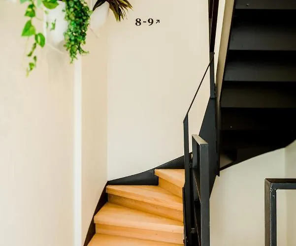 The Librarian By Domani 3*