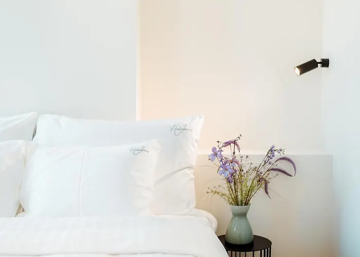 The Librarian By Domani 3* Γάνδη