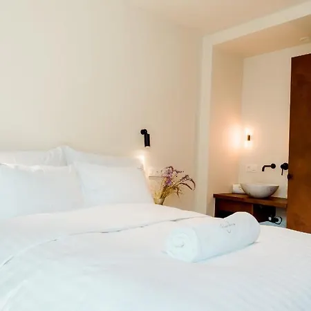 The Librarian By Domani Гент